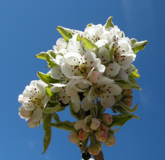 Aria di primavera...